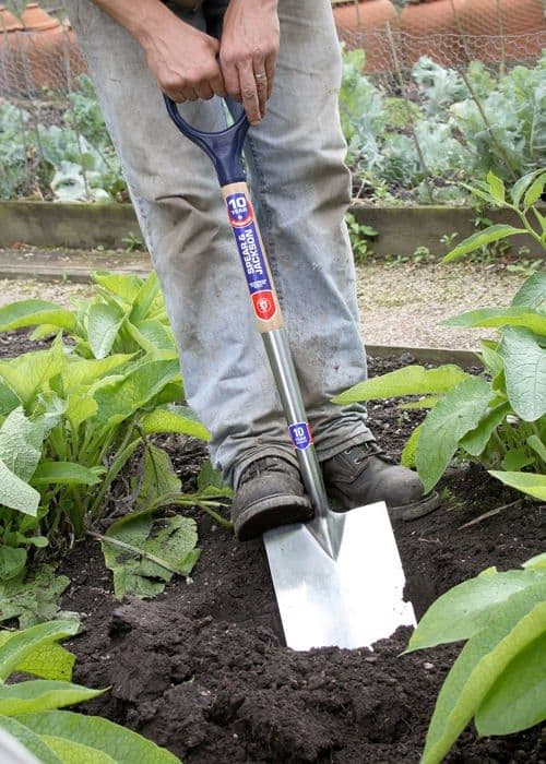 Spade Neill tools t/a spear jackson - 1161BS - Spear - Jackson Neverbend Kantspade i rostfritt stål
