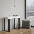 Miniatyrbild 2 av 4: Väggkonsol Expanderbar konsol 90x40/300 cm Tecno Premium White Ash Antracitram
