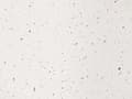 Miniatyrbilde 8 av 8: Sidebord med Terrazzo-effekt i Off-White MgO Glassfiber 42 x 28 cm UV-beis Rust Vann Vindbestandig Boho Moderne Utendørs Stue