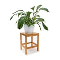 Miniatyrbild 1 av 6: Relaxdays Bamboo Pall Plant Bord Badrumspall HxBxD: 40 x 28 x 32 cm Dekorativt sidobord, Nature