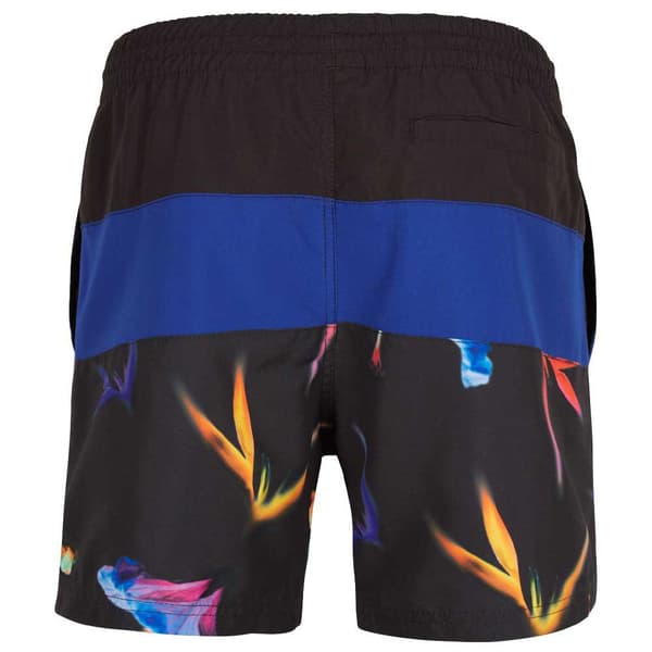 O´neill Svømmeshorts Frame Block Blå M Mand
