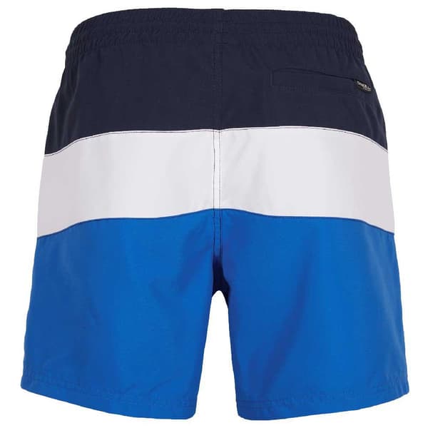 O´neill Svømmeshorts Frame Block Blå S Mand