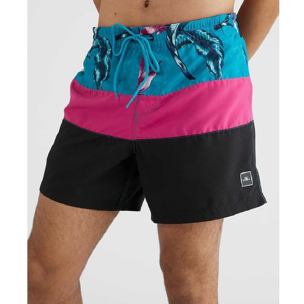 O´neill Svømmeshorts Frame Block Flerfarvet S Mand