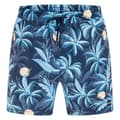 Miniatyrbillede 1 af 5: Hurley Svømmeshorts Cannonball Volley 17´´ Blå S Mand