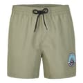Miniatyrbillede 1 af 2: O´neill Svømmeshorts Cali State 15´´ Grøn XL Mand