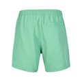 Miniatyrbillede 2 af 2: O´neill Svømmeshorts Cali State 15´´ Grøn XL Mand