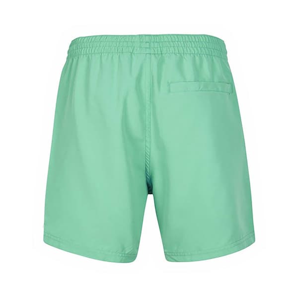 O´neill Svømmeshorts Cali State 15´´ Grøn XL Mand