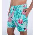 Miniatyrbillede 4 af 6: Hurley Svømmeshorts Cannonball Volley 17´´ Blå M Mand