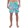 Miniatyrbillede 1 af 6: Hurley Svømmeshorts Cannonball Volley 17´´ Blå M Mand