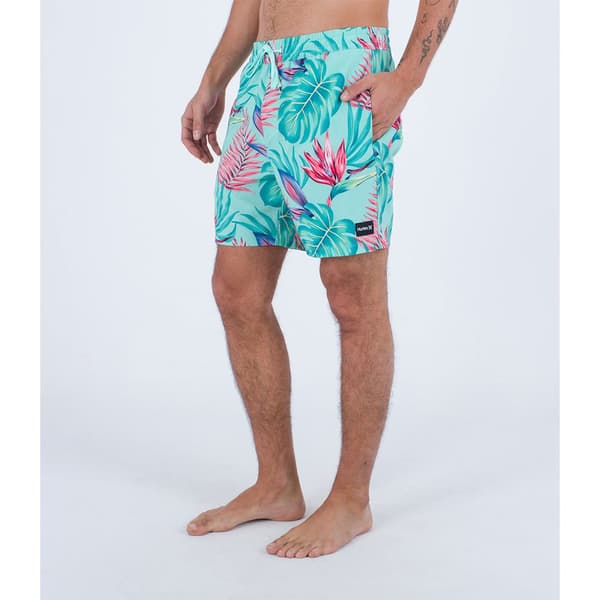 Hurley Badbyxor Cannonball Volley 17´´ Blå S Man
