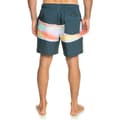 Miniatyrbillede 2 af 6: Quiksilver Svømmeshorts Surfsilk Air-brush Volley 17nb Blå M Mand