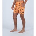 Miniatyrbillede 3 af 6: Hurley Svømmeshorts Cannonball Volley 17´´ Orange M Mand