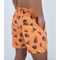 Miniatyrbillede 5 af 6: Hurley Svømmeshorts Cannonball Volley 17´´ Orange M Mand