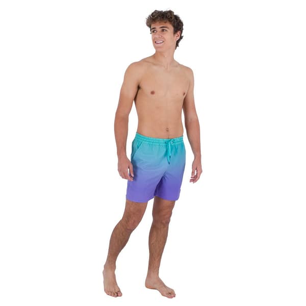 Hurley Uimahousut Phantom-eco Cannonball Volley 17´´ Sininen,Violetti L Mies