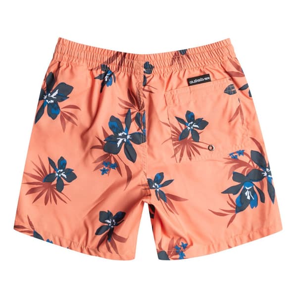 Quiksilver Ungdoms Svømmeshorts Everyday Mix Volley 14´´ Orange 16 Years Dreng