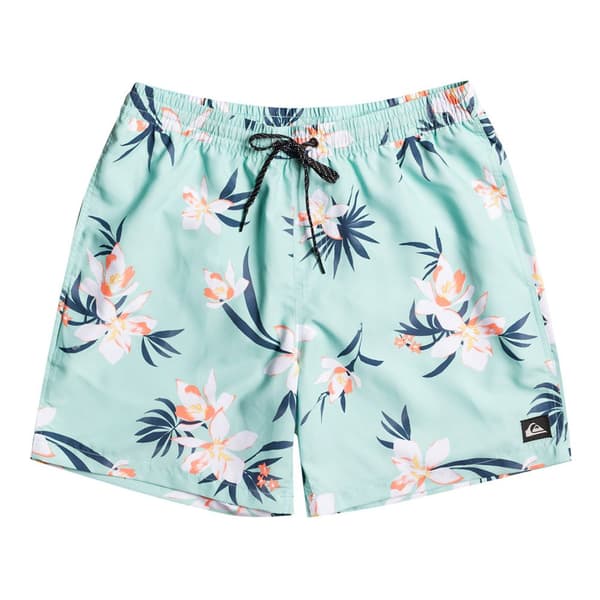 Quiksilver Badbyxor Everyday Mix Volley 17 Grönt S Man