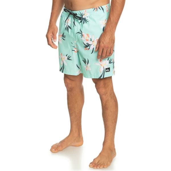 Quiksilver Badbyxor Everyday Mix Volley 17 Grönt S Man