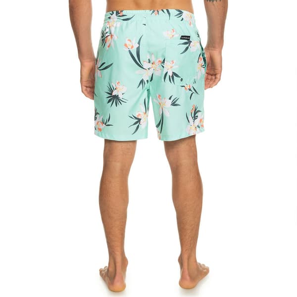 Quiksilver Badbyxor Everyday Mix Volley 17 Grönt S Man