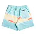Miniatyrbild 4 av 7: Quiksilver Badbyxor Surfsilk Air-brush Volley 17´´nb Blå M Man