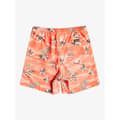 Miniatyrbild 4 av 5: Quiksilver Badbyxor Scenic 15 Orange M Man