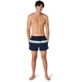 Pikkukuva 4 / 4: Speedo Uimahousut Colorblock Volley 14´´ Sininen S Mies