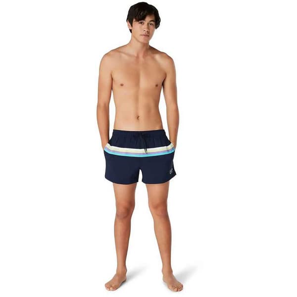 Speedo Uimahousut Colorblock Volley 14´´ Sininen S Mies