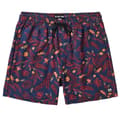 Miniatyrbillede 3 af 4: Reef Svømmeshorts Everett Blå L Mand