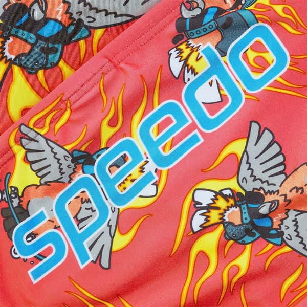 Speedo Uimahousut Fundies 5 Cm Monivärinen UK 34 Mies
