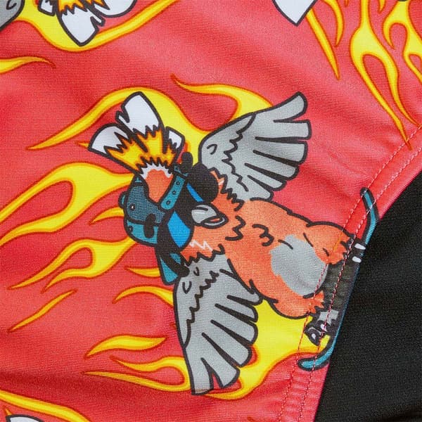 Speedo Uimahousut Fundies 5 Cm Monivärinen UK 34 Mies