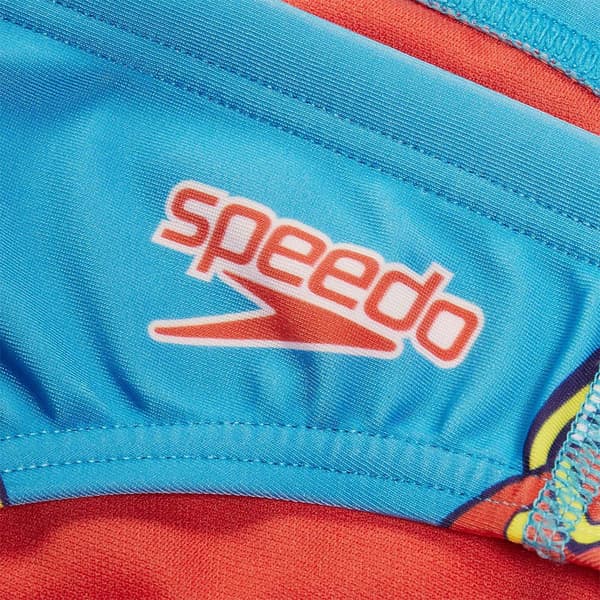 Speedo Simning Kalsonger Fundies 5 Cm Flerfärgad UK 30 Man