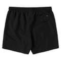 Miniatyrbillede 2 af 2: Mystic Svømmeshorts Brand Sort 32 Mand