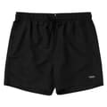 Miniatyrbillede 1 af 2: Mystic Svømmeshorts Brand Sort 32 Mand