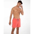 Miniatyrbillede 6 af 8: Protest Badeshorts Davey Rød XL Mand