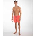 Miniatyrbillede 7 af 8: Protest Badeshorts Davey Rød XL Mand