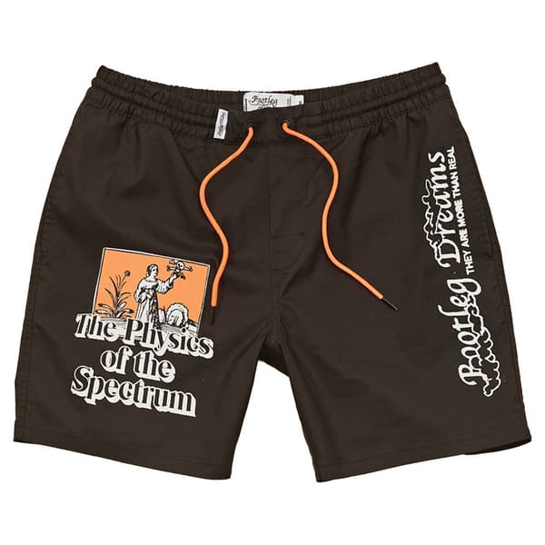 Globe Svømmeshorts The Physics Poolshort Sort S Mand