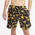 Miniatyrbild 3 av 7: Hydroponic Badbyxor 16´ Dbz Balls Svart 30 Man