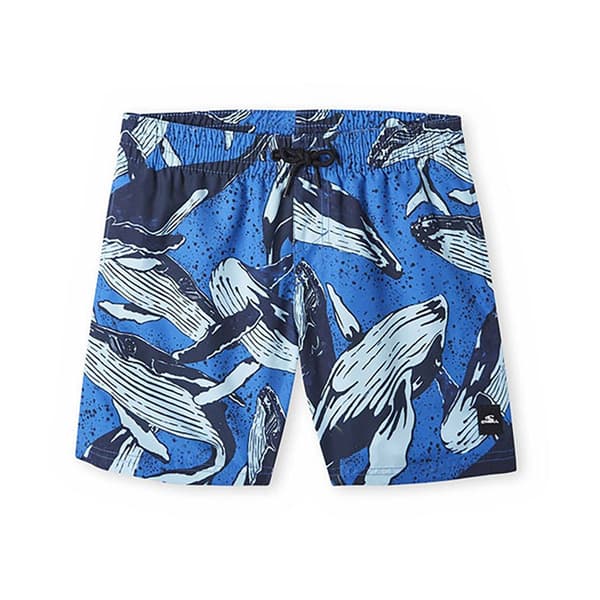 O´neill Svømmeshorts Cali Print 13´´ Blå 13-14 Years Dreng