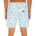 Miniatyrbillede 2 af 2: Hurley Svømmeshorts Cannonball Volley 17´´ Grøn L Mand