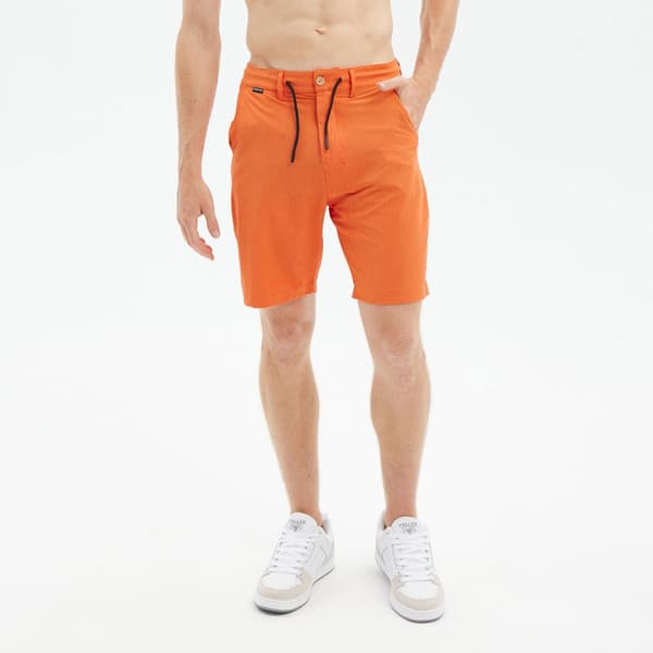 Hydroponic Svømmeshorts 20´ Pelham  36 Mand