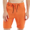 Miniatyrbillede 1 af 9: Hydroponic Svømmeshorts 20´ Pelham  36 Mand