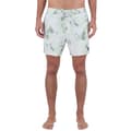 Miniatyrbillede 1 af 6: Hurley Svømmeshorts Phantom Naturals Sessions 16´´ Grå 33 Mand