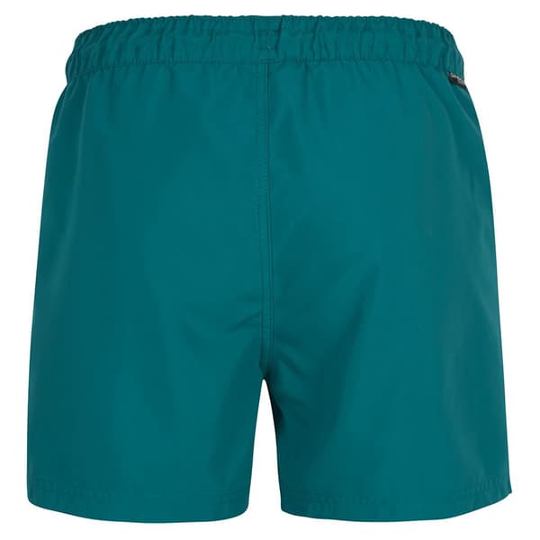 O´neill Svømmeshorts Cali Panel Blå M Mand