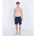 Miniatyrbillede 4 af 5: Hurley Svømmeshorts Phanto Block Party 18´´ Sort 32 Mand