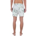 Pikkukuva 2 / 6: Hurley Uimahousut Phantom Naturals Sessions 16´´ Harmaa 34 Mies