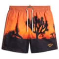 Miniatyrbillede 3 af 5: Superdry Svømmeshorts Photographic 17´´ Orange L Mand