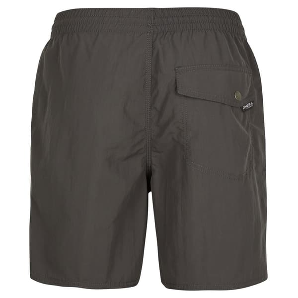O´neill Badbyxor N03200 Vert Swim 16´´ Grå L Man