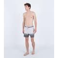 Miniatyrbillede 4 af 5: Hurley Svømmeshorts Phantom Naturals Sessions 16´´ Grå 30 Mand