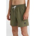 Miniatyrbillede 5 af 6: O´neill Mix&match Vert 16´´ Badebukser Grøn L Mand