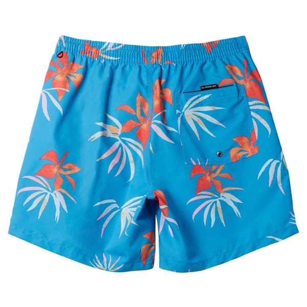 Quiksilver Mix Volley 15´´ Uimahousut Sininen L Mies