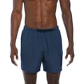 Miniatyrbillede 1 af 5: Nike Swim 5´´ Volley Voyage Badeshorts Grå L Mand